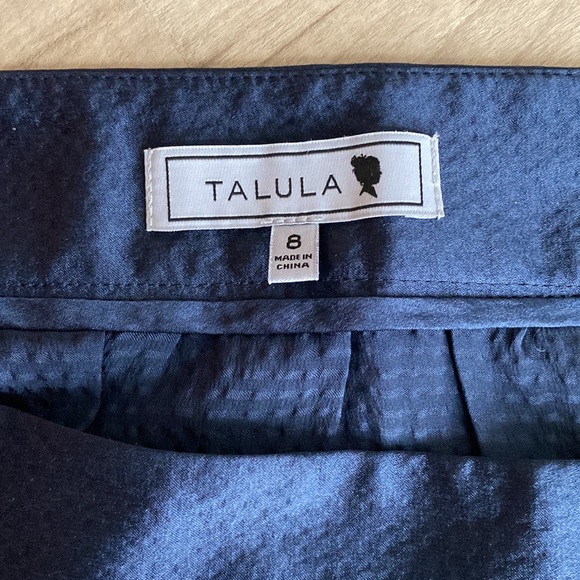 Talula/Aritzia silk mini skirt - Picture 4 of 6
